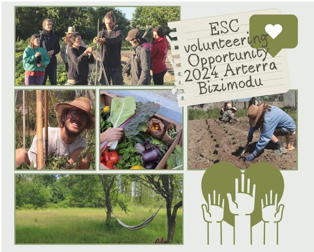 Volunteer in ecovillage Arterra Bizimodu in 2024